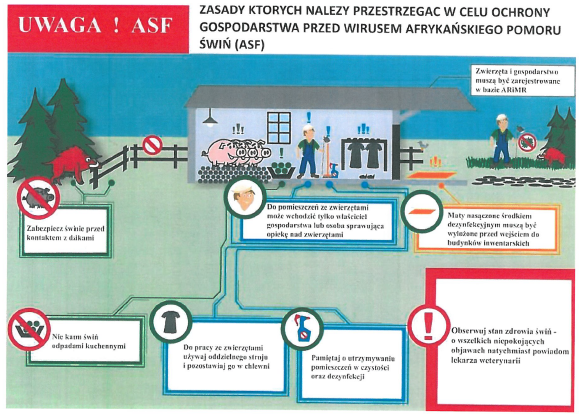 Obraz główny galerii