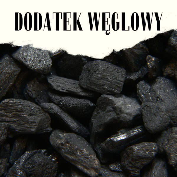 Obraz główny galerii