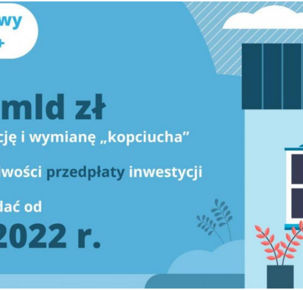 Obraz główny galerii