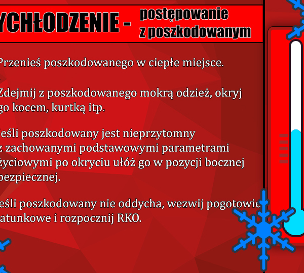 Obraz główny galerii