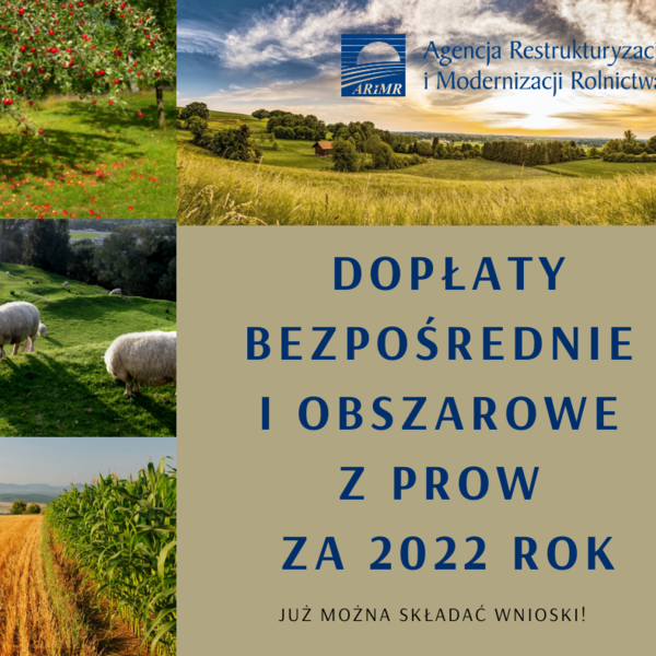 Obraz główny galerii