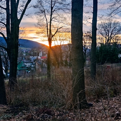 Obraz przedstawiający Gmina zakupiła park podworski